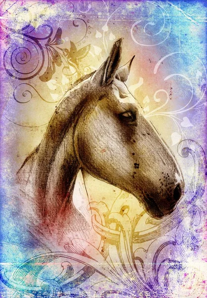 FreeHand paard hoofd potlood tekenen — Stockfoto