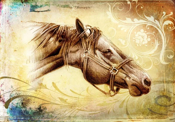 Dibujo a mano alzada cabeza de caballo lápiz — Foto de Stock