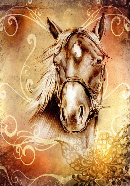 Rysunek ołówkiem głowa konia odręczne — Zdjęcie stockowe