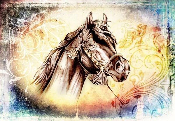 Od ruky koňské hlavy kresba tužkou — Stock fotografie
