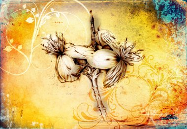 Çiçek Çizim sanat illüstrasyon