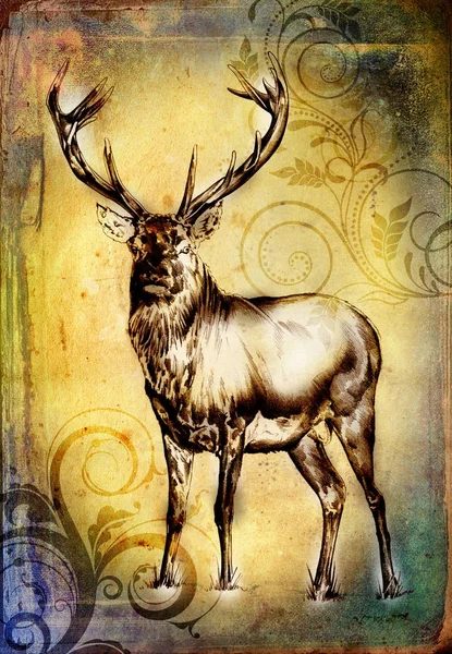 Antico cervo arte disegno fatto a mano natura — Foto Stock