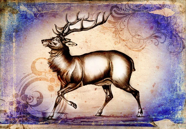Antike Hirschkunst Zeichnung handgemachte Natur — Stockfoto