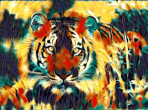 Tigre art illustration couleur — Photo