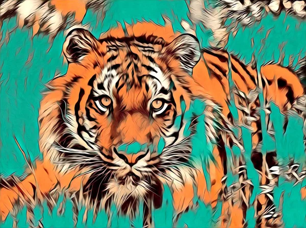 Tigris művészet ábra színes — Stock Fotó