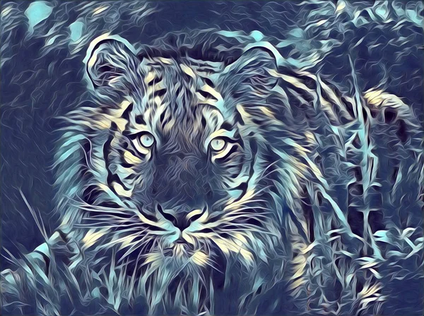 Колір ілюстрації тигрового мистецтва — стокове фото