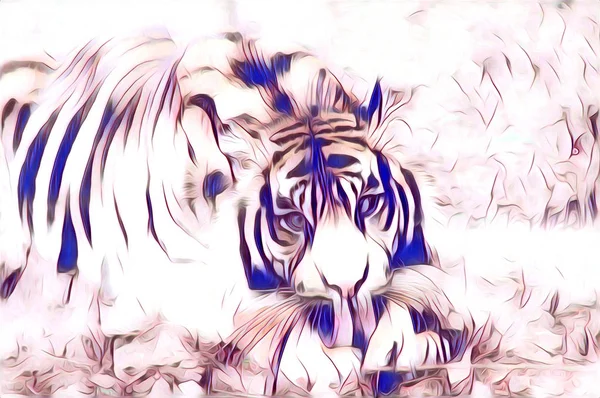 Колір ілюстрації тигрового мистецтва — стокове фото