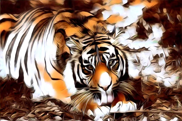 Tiger umění ilustrace barva — Stock fotografie