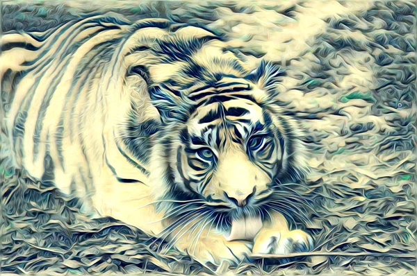 Tigre arte illustrazione colore — Foto Stock