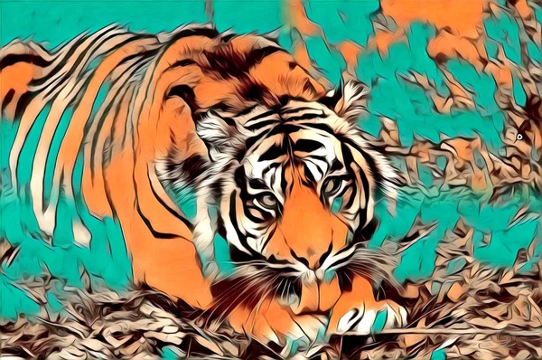 Tygrys sztuki ilustracja kolor — Zdjęcie stockowe