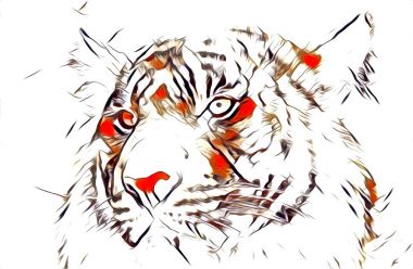 Kaplan illüstrasyon renk sanat