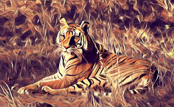 tiger art illustration color