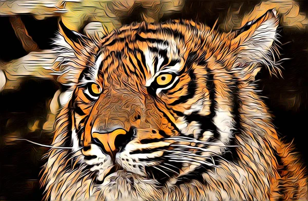 Tigre arte ilustração cor — Fotografia de Stock