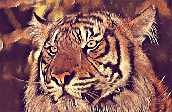 tiger art illustration color