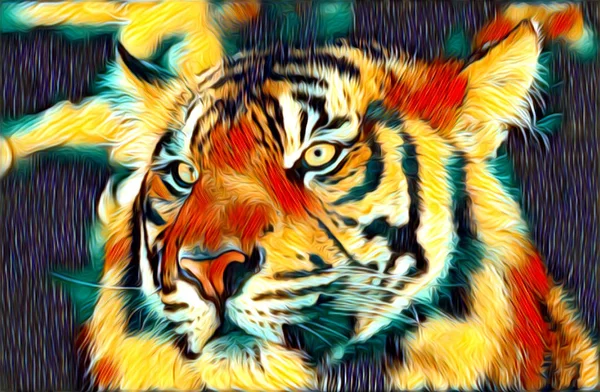 tiger art illustration color