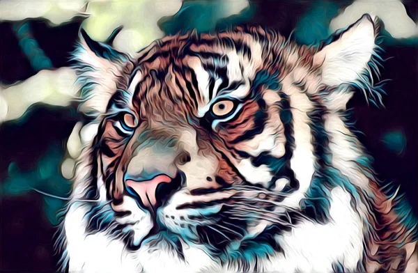 Warna ilustrasi seni harimau — Stok Foto