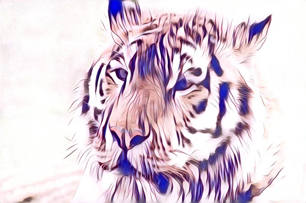 Warna ilustrasi seni harimau — Stok Foto