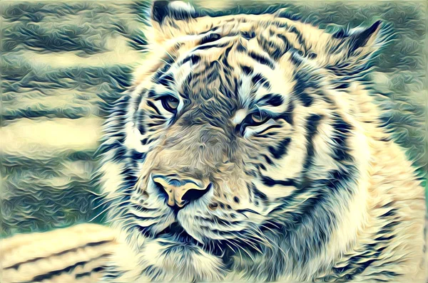 Tiger art illustration färg — Stockfoto