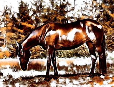 serbest el at Sanat illüstrasyon boya