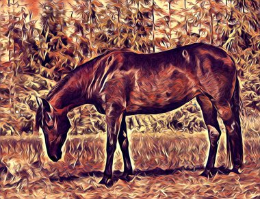 serbest el at Sanat illüstrasyon boya