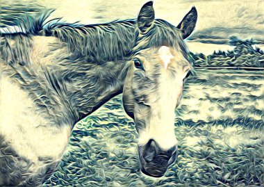 serbest el at Sanat illüstrasyon boya