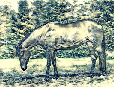 serbest el at Sanat illüstrasyon boya