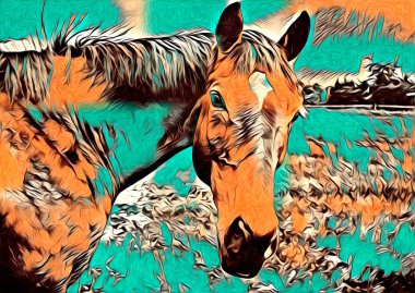 serbest el at Sanat illüstrasyon boya