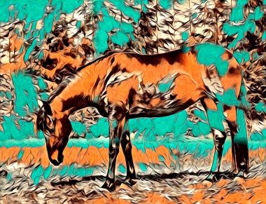 serbest el at Sanat illüstrasyon boya