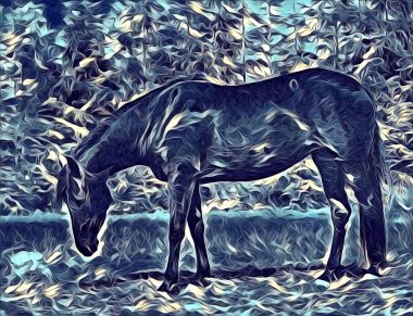 serbest el at Sanat illüstrasyon boya