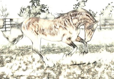 serbest el at Sanat illüstrasyon boya