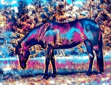 serbest el at Sanat illüstrasyon boya