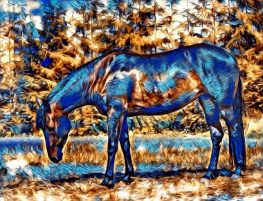 serbest el at Sanat illüstrasyon boya