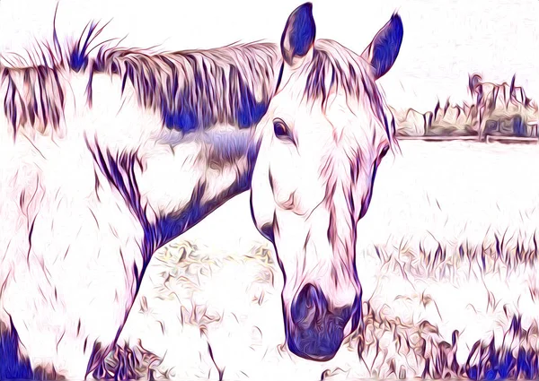 serbest el at Sanat illüstrasyon boya