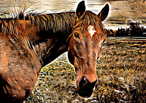 serbest el at Sanat illüstrasyon boya