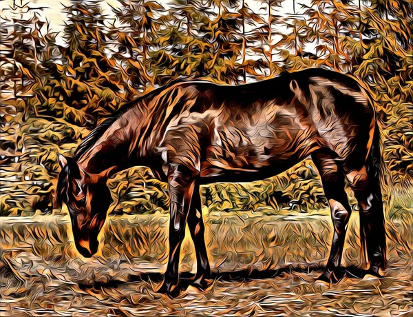 Freehand Häst Art Illustration Paint — Stockfoto