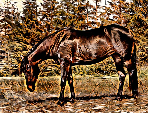 Freehand Paard Kunst Illustratie Verf — Stockfoto