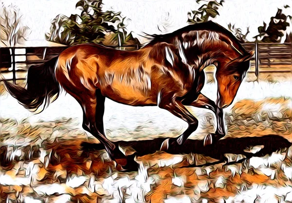 Ελεύθερο Άλογο Τέχνη Απεικόνιση Χρωμάτων — Φωτογραφία Αρχείου