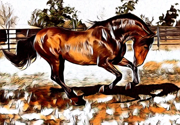 Pintura Ilustração Arte Cavalo Mão Livre — Fotografia de Stock