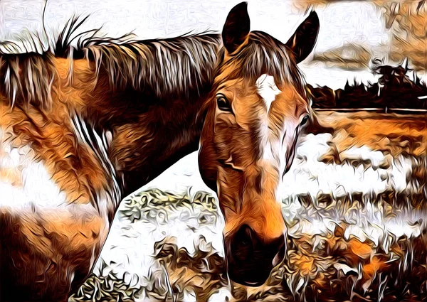 Freehand Paard Kunst Illustratie Verf — Stockfoto