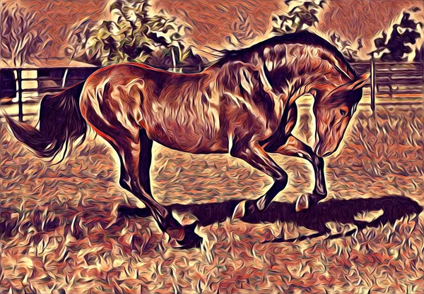 Freehand Paard Kunst Illustratie Verf — Stockfoto