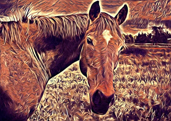 Freehand Paard Kunst Illustratie Verf — Stockfoto