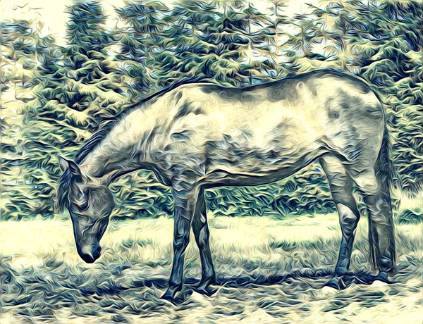 serbest el at Sanat illüstrasyon boya