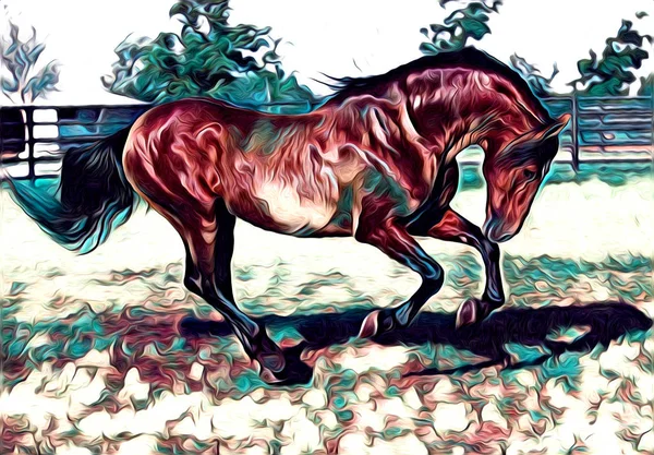 Cheval Main Levée Illustration Peinture — Photo