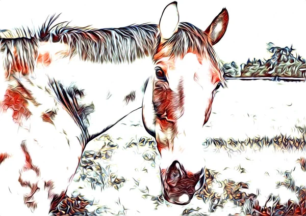 serbest el at Sanat illüstrasyon boya