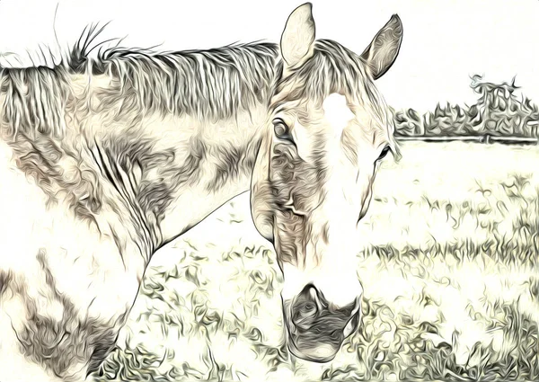 serbest el at Sanat illüstrasyon boya