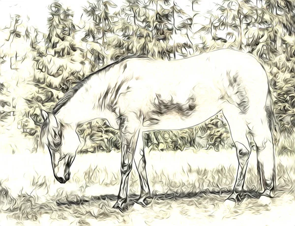Pintura Ilustração Arte Cavalo Mão Livre — Fotografia de Stock