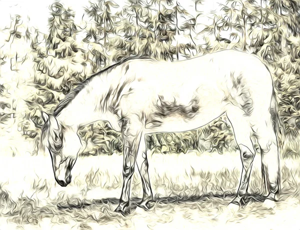 freehand horse art illustration paint