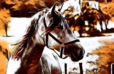 serbest el at Sanat illüstrasyon boya