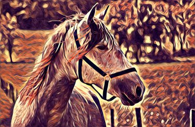 serbest el at Sanat illüstrasyon boya