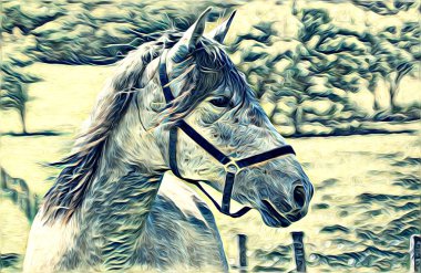 serbest el at Sanat illüstrasyon boya